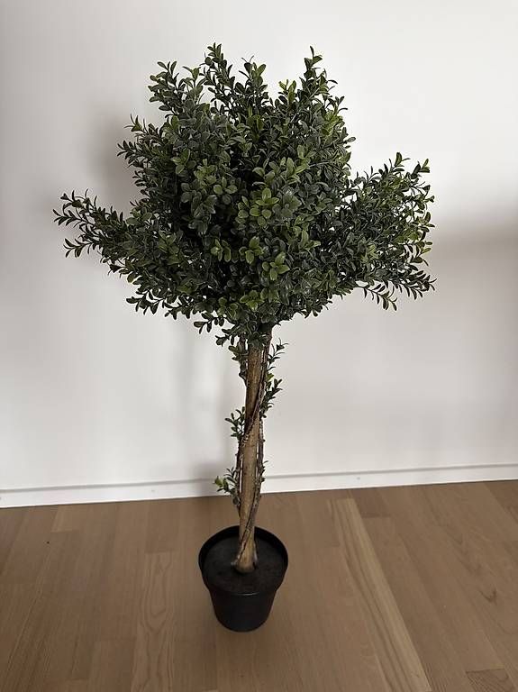 Piante & sementi: Kunstbaum 95cm hoch – Usato da Dübendorf venduto da laser_91 1