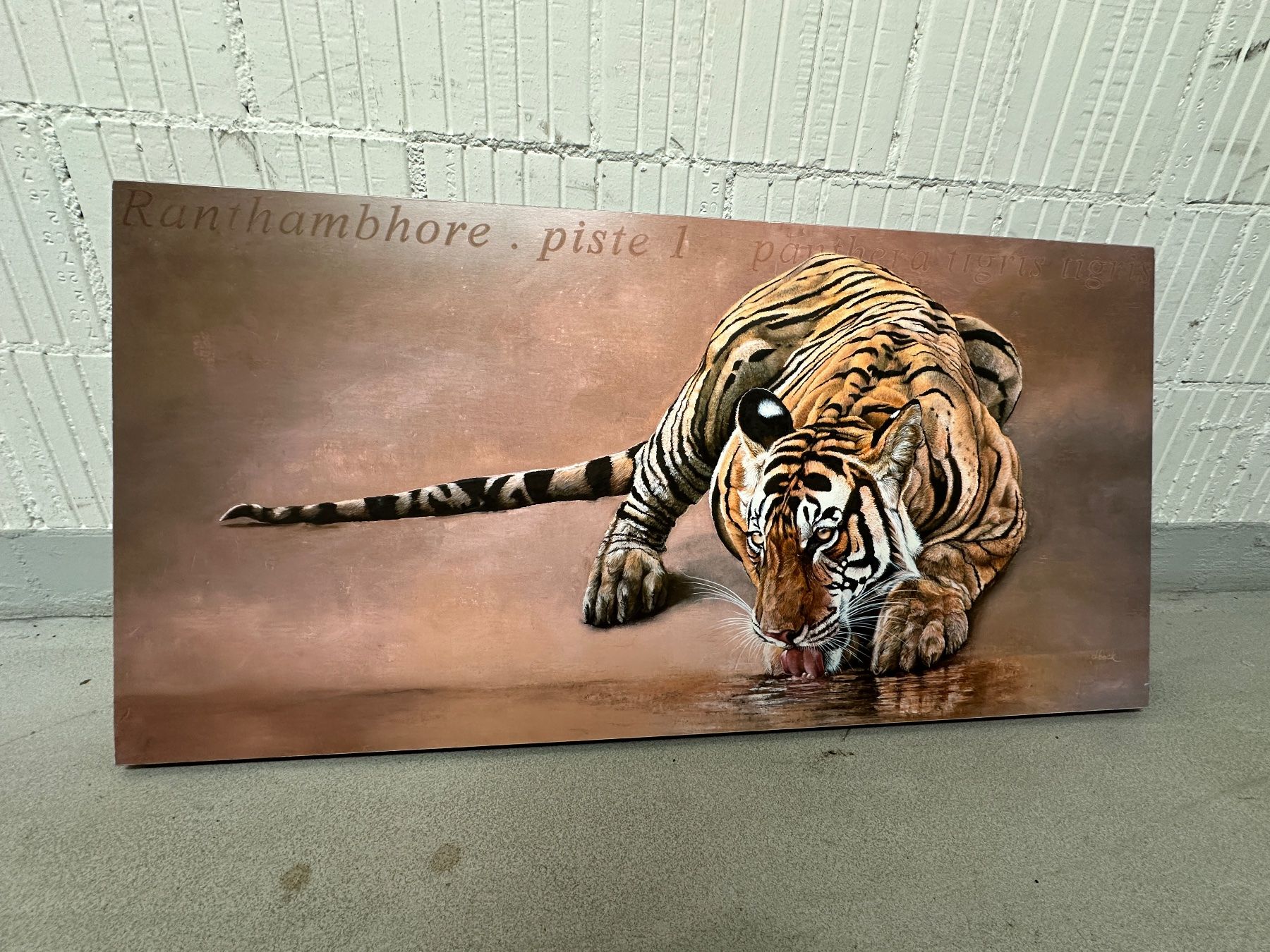 Dipinti: Gemälde Tiger Ranthambhore – Usato da wallisellen venduto da GiorgiS