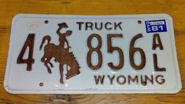 Kennzeichen Wyoming Vintage (L6)
