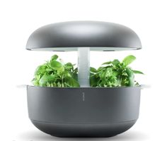 PLANTUI 6 SMART GARDEN MIT STÖRUNG