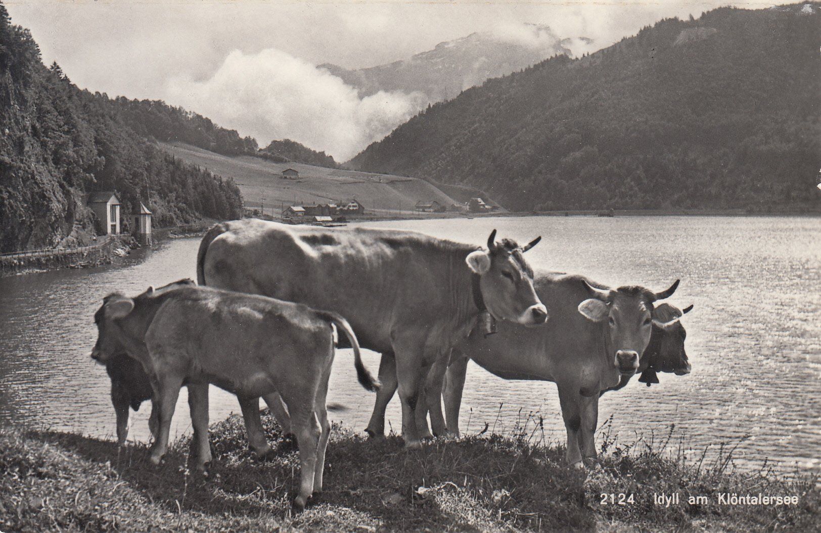 Cartoline postali: Klöntalersee ca. 1950 – Usato da Bürglen TG venduto da StampGraf