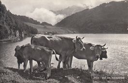 Klöntalersee ca. 1950