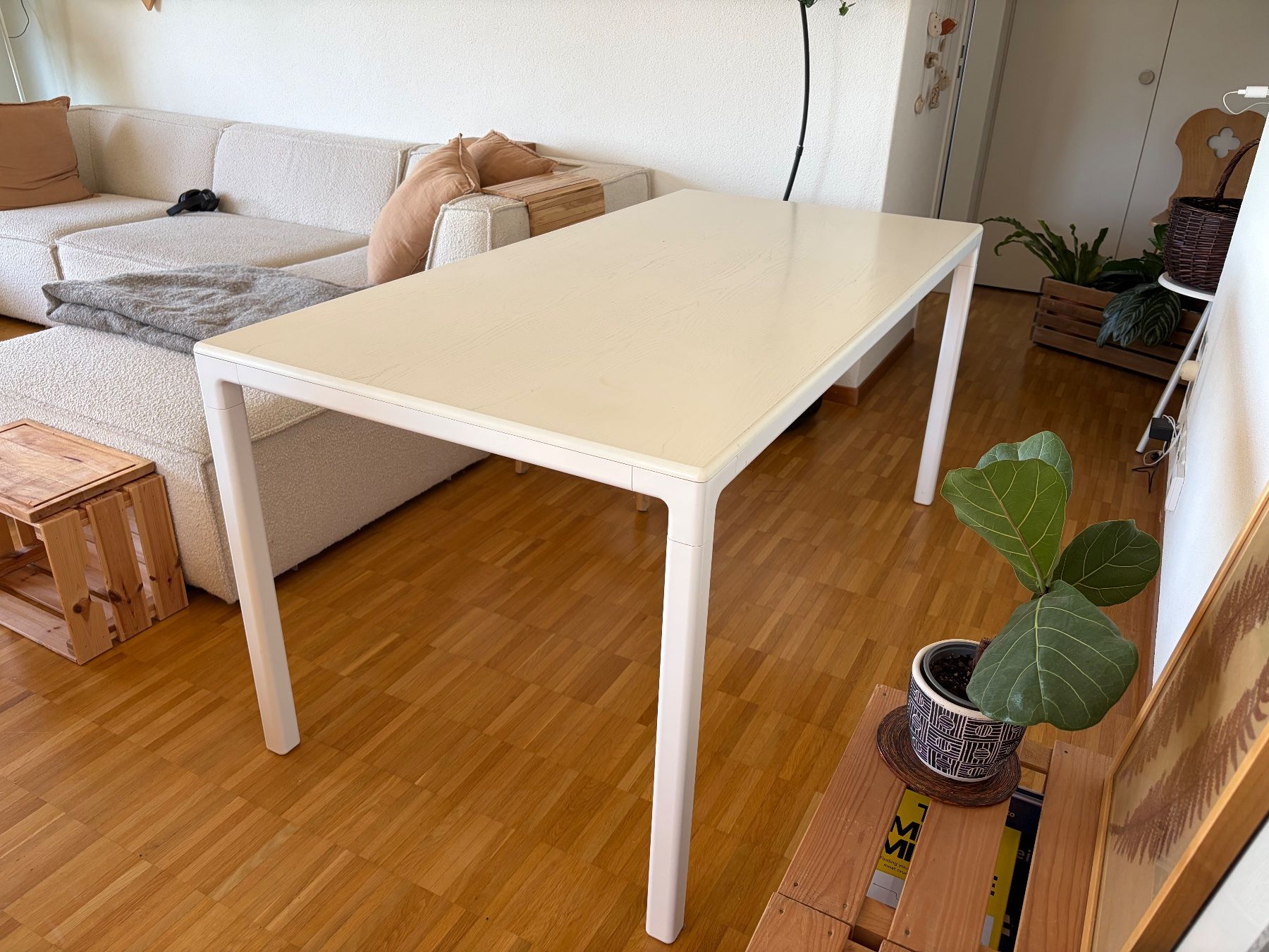 Scrivanie: Tisch oder Schreibtisch 160x80 Blatt aus Holz – Usato da Baar venduto da sor_k9ws 1