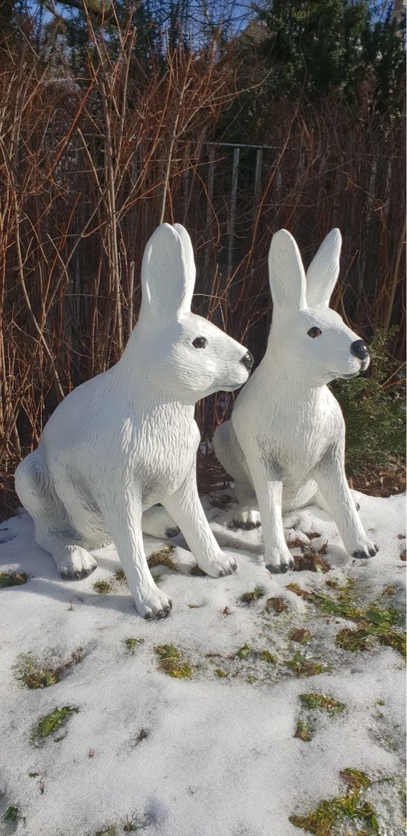 Statuette: Hase – Nuovo e nell'imballaggio originale da Bern venduto da zwirbelch 6