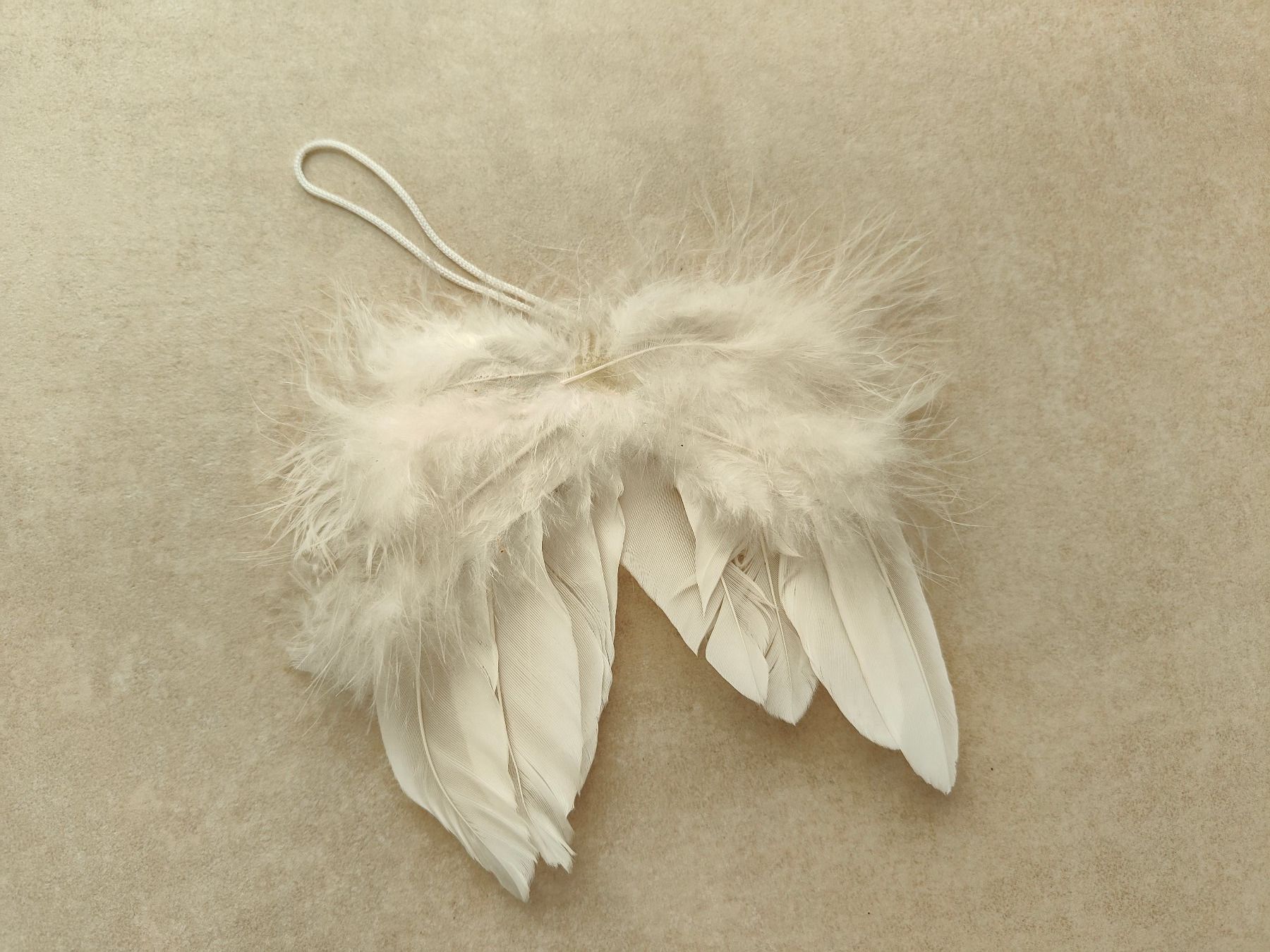 Toutes les décorations: 2x Dekoflügel weiss – Neuf (Voir description) à Rickenbach b. Wil par Beautiful.Things 1