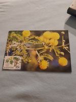Carte postale ancienne Bophuthatswana - Rare collection!