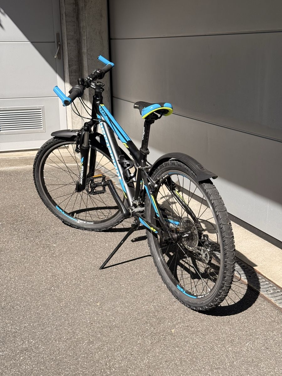 Bergamont Biciclette: Bergamont Mountain Bike – Usato da Erlenbach ZH venduto da Benio407 6