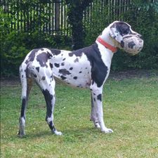 Profile image of judymo