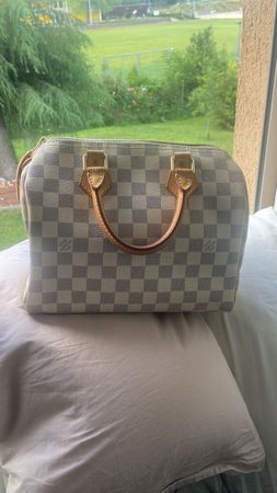 Sac Louis Vuitton Speedy 25 Damier Azur Été Chic!