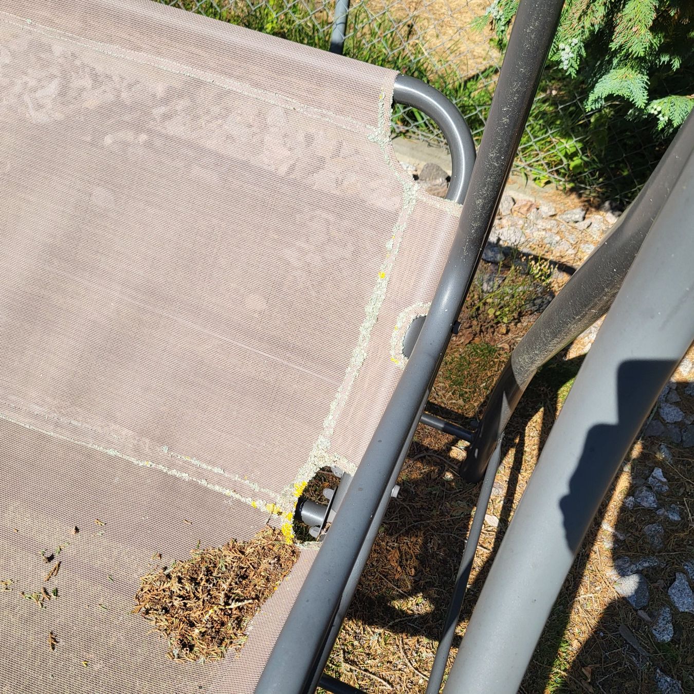 Altre altalene da giardino: Hollywoodschaukel – Usato da Lostorf venduto da Benidomi1 5