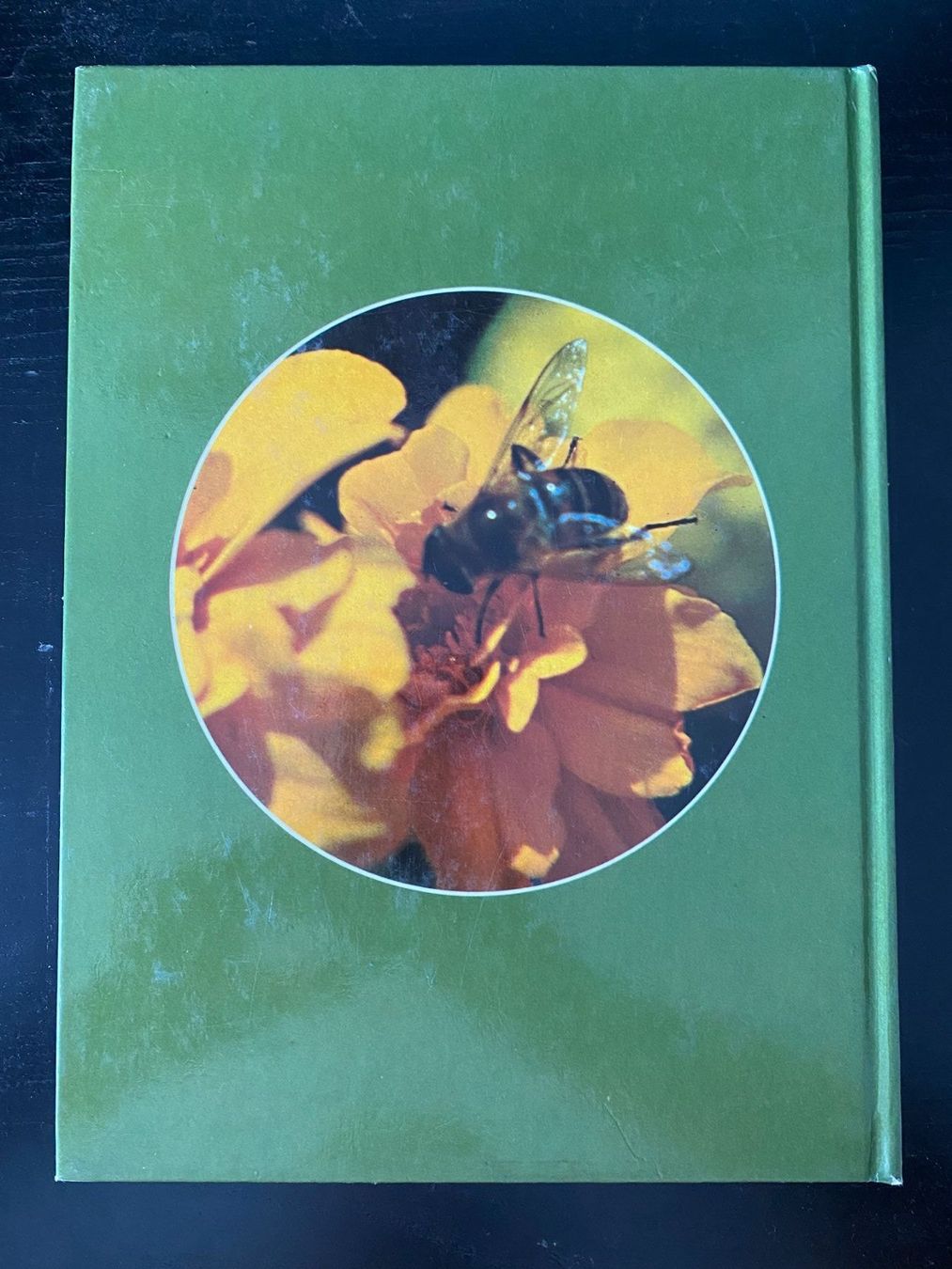 Microscopi: Das Mikroskop - Delphin Verlag – Usato da Hombrechtikon venduto da Uptowns 1
