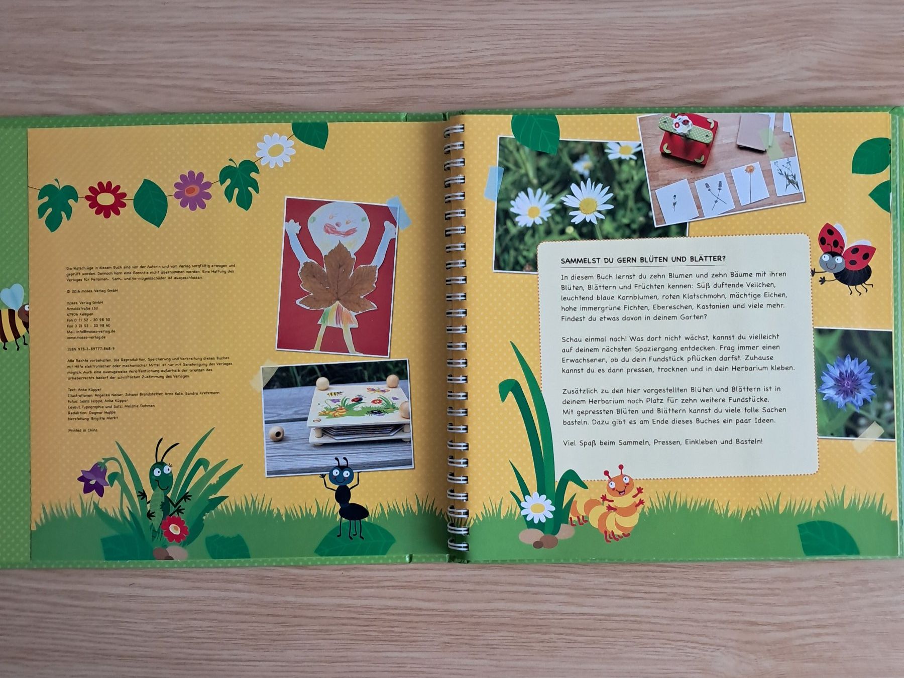 Bücher: Sammelbuch Kinder "Blüten & Blätter sammeln" – Gebraucht aus Meilen von Vaurien15 2