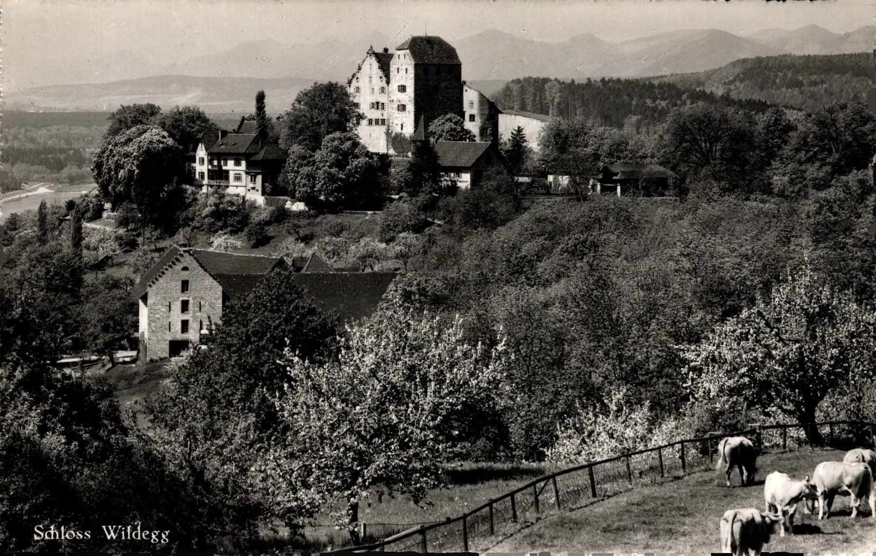 Cartes postales: Schloss Wildegg – D'occasion à Bronschhofen par Astore
