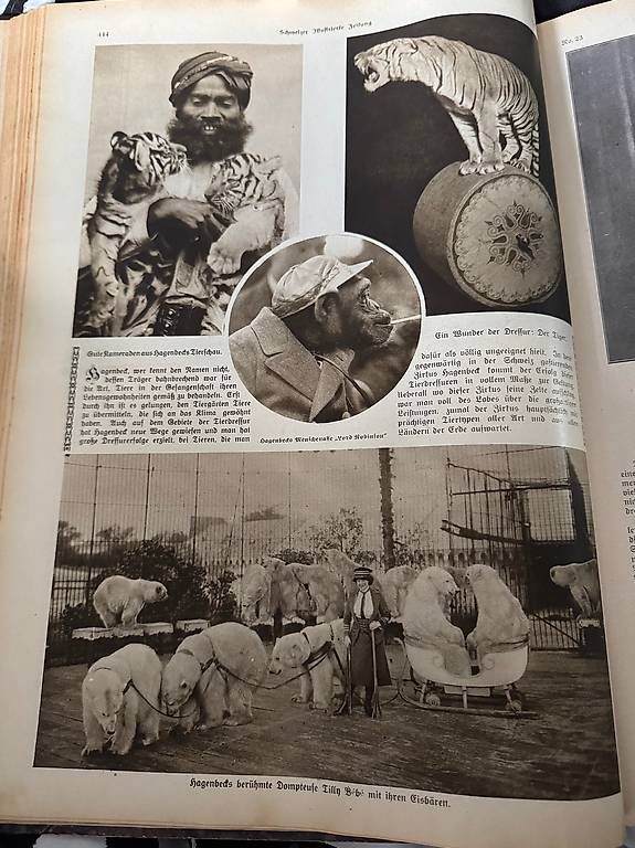 Libri: Schweizer Illustrierte Zeitung, 1914, Buch gebunden – Usato da Frieswil venduto da litmady 2