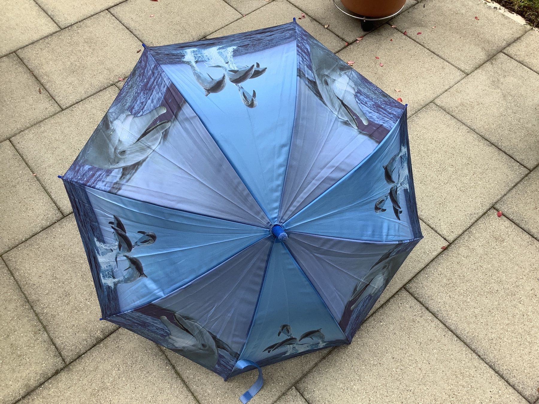 Sonstiges für Kind & Baby: Regenschirm – Gebraucht aus Bonstetten von Lia29