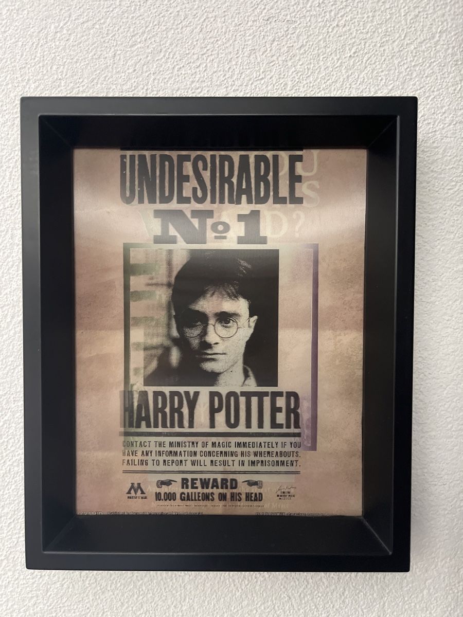 Foto & Immagini: Harry Potter Framed Print - Sirius Black / Harry Potter – Nuovo (secondo la descrizione) da Sierre venduto da black.box