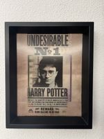 Harry Potter Framed Print - Sirius Black / Harry Potter