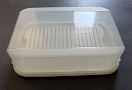 Tupperware Käsebox 28,5x18,5x9 cm