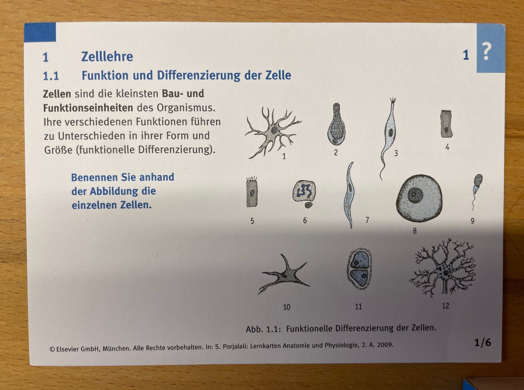 Altro in Decorazioni & Accessori: Anatomie-Lernkarten Set im handlichen A6- Schuber – Usato da Zürich venduto da Heinrich010 3