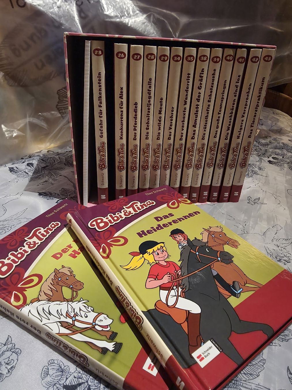 Libri: Bibi & Tina Bücherbox – Usato da St. Margarethen TG venduto da hub_vgz5 1