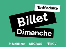 Billet Paléo Dimanche 26 juillet 2026