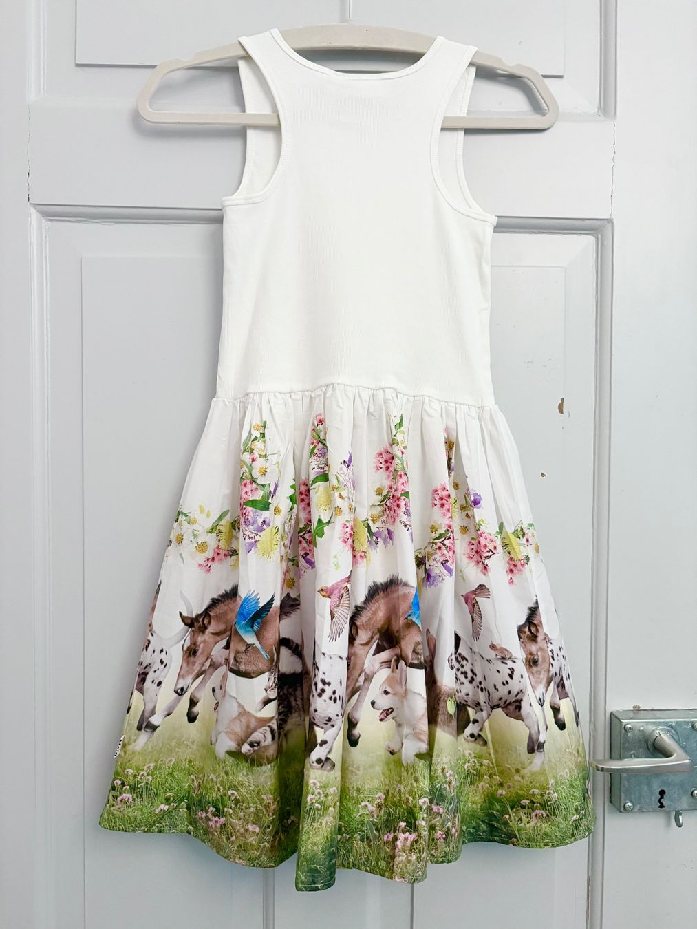 Molo Vestiti & Gonne: Molo, Kleid, 146/152, neu, Cotton – Nuovo e nell'imballaggio originale da Zürich venduto da Pokimoki_1 3