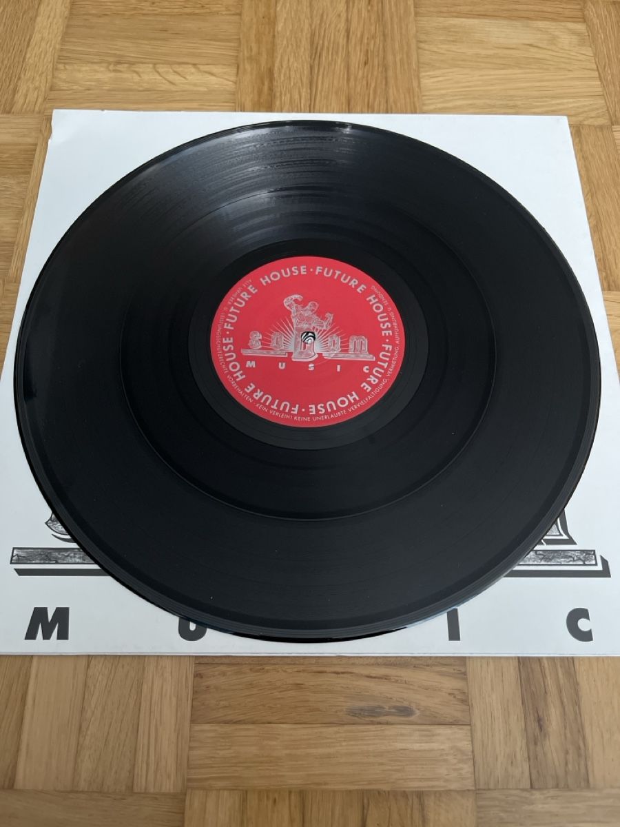 Dischi in vinile: Future House Hard Trance Vinyl – Usato da Wangen b. Olten venduto da break72 3
