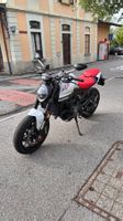Ducati monster