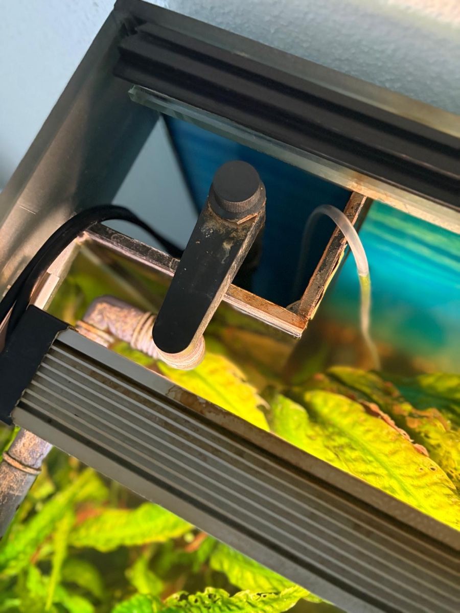 Acquari: Eheim Incpiria 330 Aquarium – Usato da Dagmersellen venduto da Dej7 4
