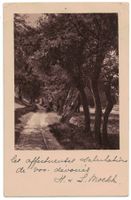 Kutschenweg (Mischol), gelaufen 1918