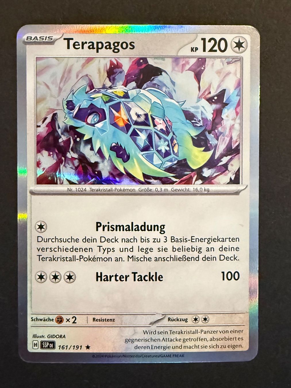 Pokémon Carte collezionabili: Terrapagos pokemon – Usato da Rheinfelden venduto da DanielaSara