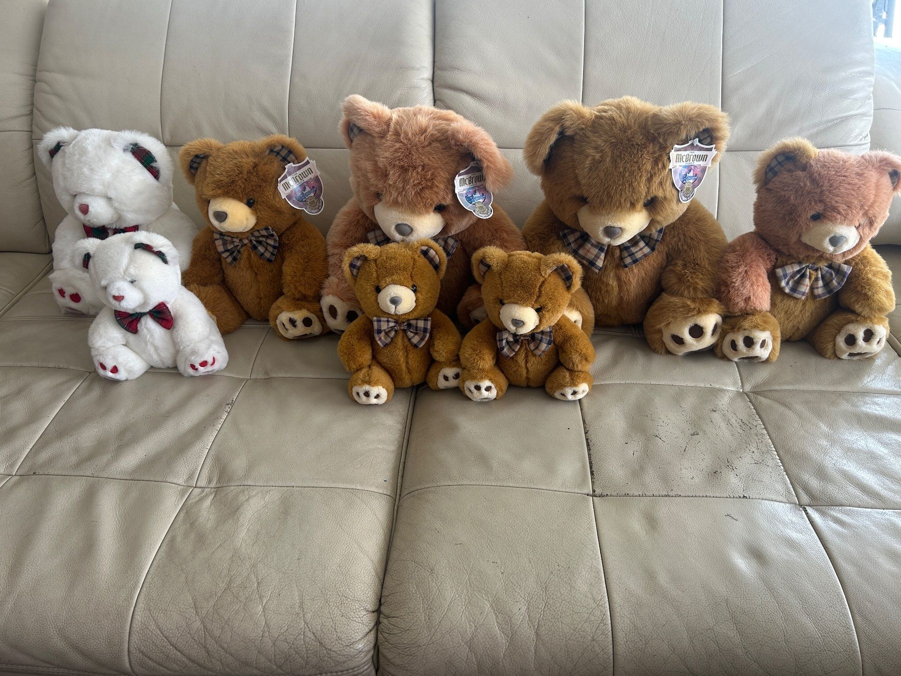 Musicassette: Sammlung 8 McBrown Teddybären - Paddington Stil – Usato da Regensdorf venduto da Spyke55