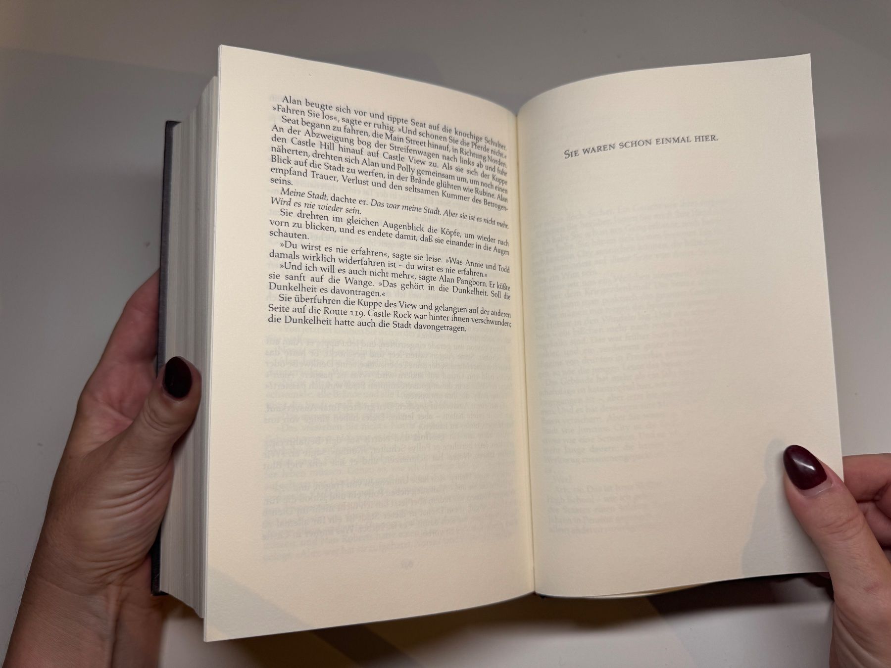 Libri: ROMAN: Stephen King, In einer kleinen Stadt, Needful things – Usato da Grosswangen venduto da Deutsche_Romane 8