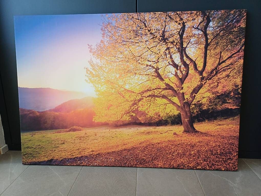 Gemälde: Tableau nature  – Gebraucht aus Aven von menthe17
