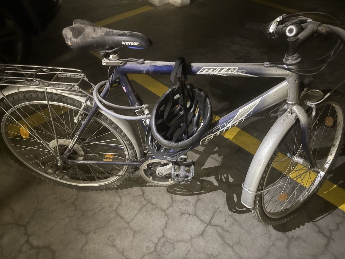 Biciclette: Gepflegtes Mountainbike – Usato da Zürich venduto da Orionos 8