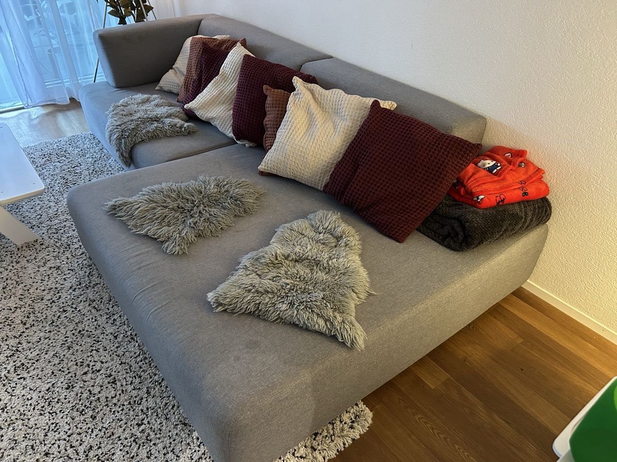 Sofas: Ecksofa grau, L-Form, gebraucht (GRATIS) – Gebraucht aus Burgdorf von RSchweizer80 3
