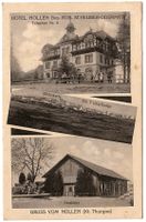 3-Bildkarte 'Gruss vom Nollen   (Kt. Thurgau)