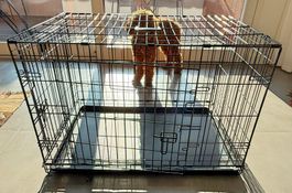 Hunde-Transportbox faltbar Ferplast Dog-Inn 90