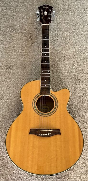 Ibanez Akustikgitarre | Kaufen auf Ricardo