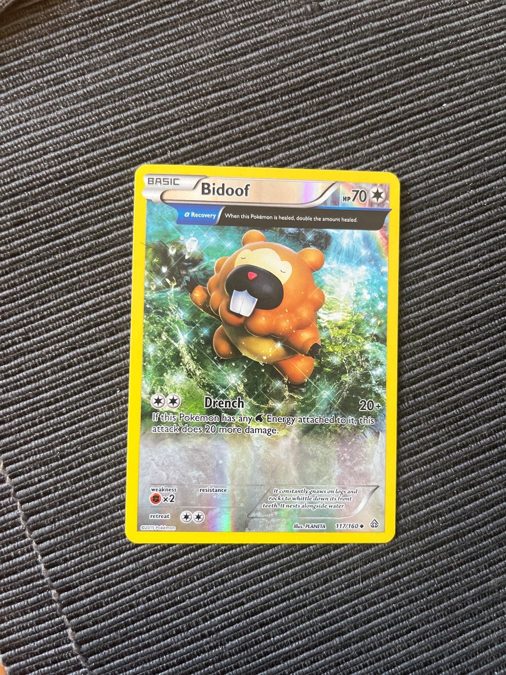 Pokemon Bidoof Card (117/160) – XY Primal Clash Set, Uncommon, Colorless Basic Pokemon - View #5