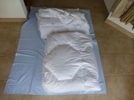 Daunen Duvet zwei Stück