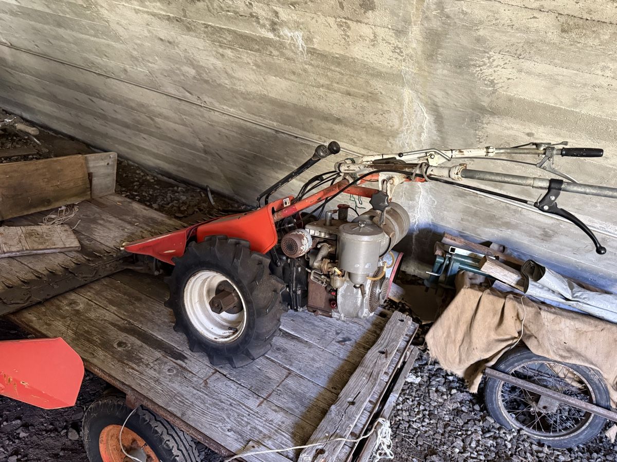 Reform Tutte le macchine: Reform 316 D Motormäher – Usato da Münster venduto da werage 2