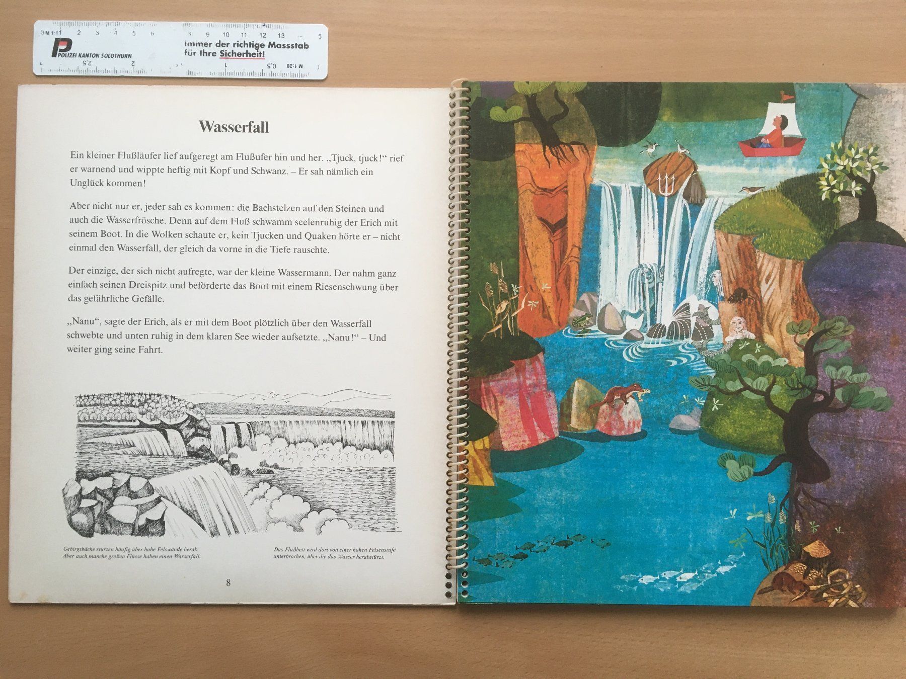Libri: Wasser und Flut – Marlene Reidel – Usato da Grenchen venduto da Kogi7 4