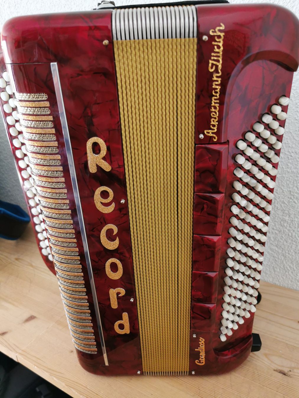 Musikinstrumente: AKKORDEON RECORD PIGINI GRANDIOSO – Gebraucht aus Volketswil von  7