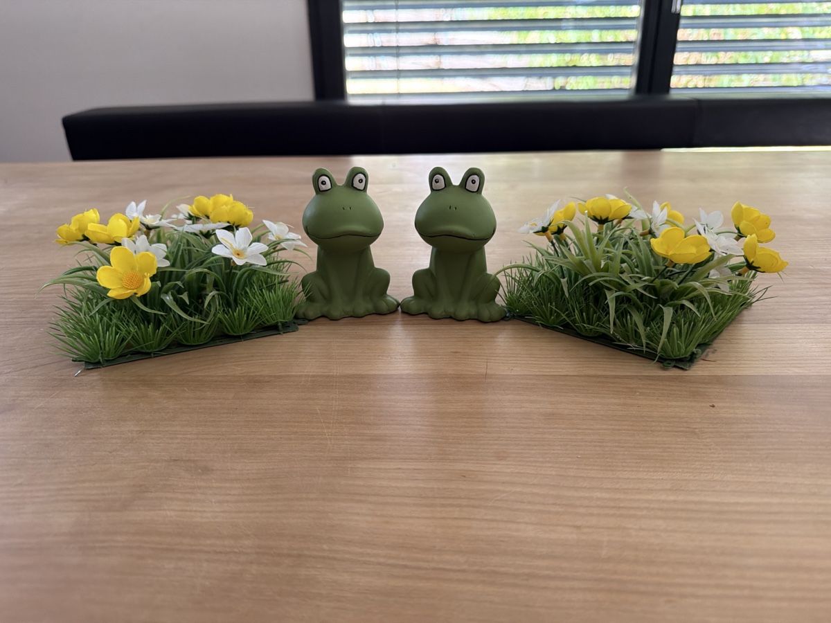 Toutes les décorations: Deko Frühling  – D'occasion à Zollikofen par Maria_verena