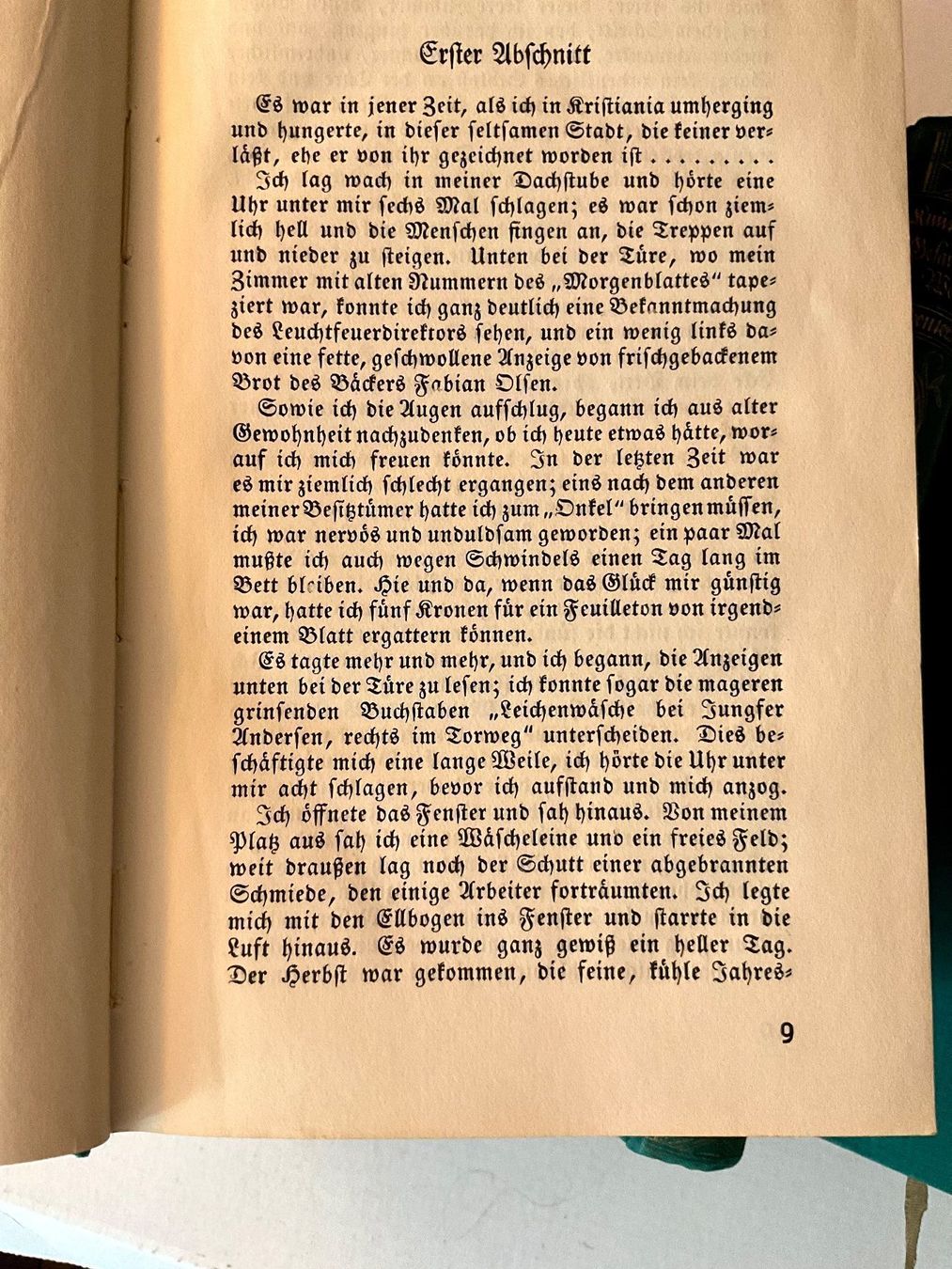 Livres: Knut Hamsun 12 Bände in Fraktur – D'occasion à Herisau par eri_2tb5 6
