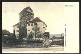 Frauenfeld, das Schloss, koloriert, gelaufen 1906