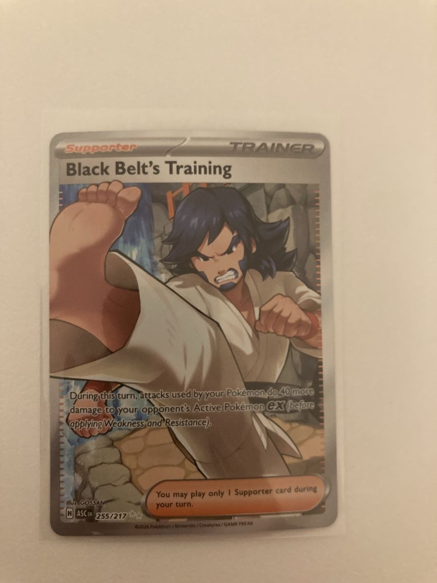 Pokémon Cartes à collectionner: Black Belt‘s Training 255/217 EN – Neuf (Voir description) à Wohlen AG par Liridon22