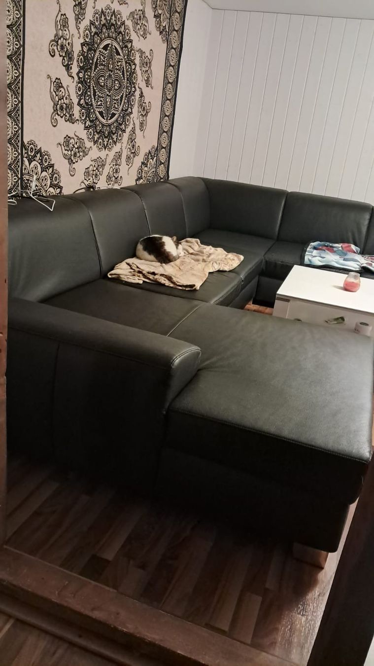 Divani: Grosses Schwarzes Ecksofa mit Katzenspuren. – Usato da Wiesenberg venduto da Naragarth 1