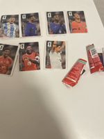 Panini cola